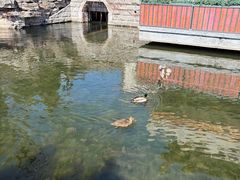 -郭守敬纪念馆