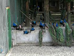 -南京金牛湖风景区