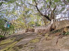 -乌山风景区
