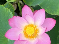 -天津东丽湖风景区