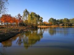 -东郊湿地公园