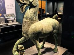 -广西壮族自治区博物馆