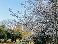 -堤角公园
