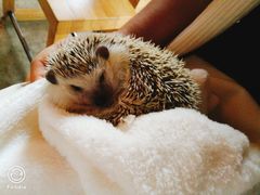 -VOYAGE COFFEE(北锣鼓巷店)