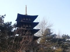 -北京世界公园
