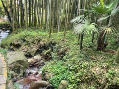 -莫干山风景区