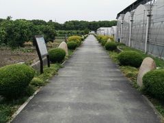 -宏泰园蔬果专业合作社