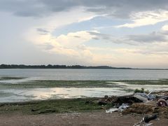 -西京湾花海
