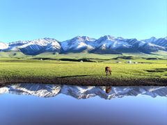 -新疆那拉提国家旅游度假区