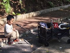 -南宁良凤江国家森林公园