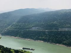 -铁山坪森林公园