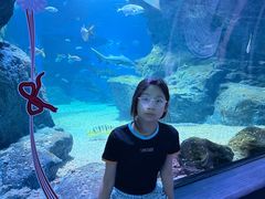 -暹罗海洋世界