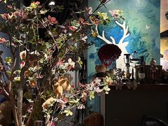 -咖法森林·咖啡  酒吧(天河店)