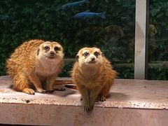 -常州海昌海洋探索馆