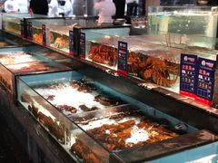 水产区-尚海豆捞(乐虹坊店)