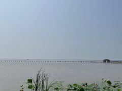 -哈素海