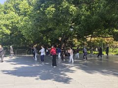 -中山公园