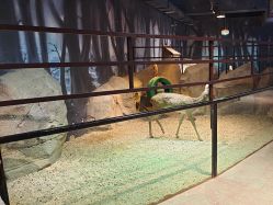 -酷嗒动物文化乐园(cutezoo西溪乐天城店)