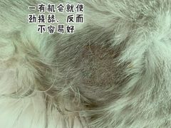 -美联众合动物医院·24h转诊中心