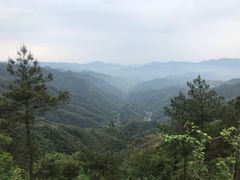 -四明山国家森林公园