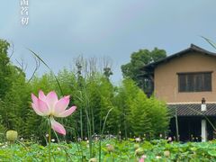 -百翠山居.家飨餐厅