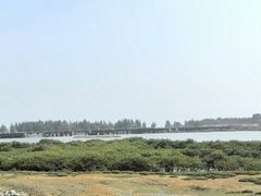 -北海金海湾红树林生态旅游区