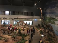 -自贡恐龙博物馆