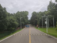 -洈水景区