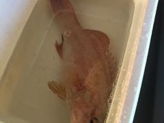 -苏浙总会(国金中心店)