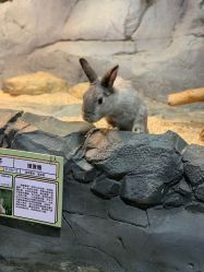 -Zoolung Zoolung动物主题公园(海信广场店)