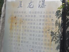 -五龙城郊森林公园