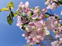 -海棠花溪(元大都城垣遗址公园)