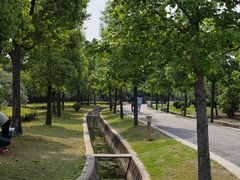 -广富林郊野公园