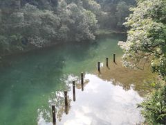 -鼎湖山风景区