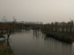 -上海长兴岛郊野公园