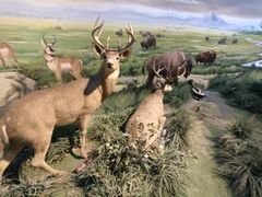 -陕西自然博物馆