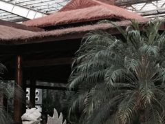 -龙达温泉生态城