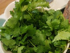 -草原传奇鲜羊火锅(桥北店)