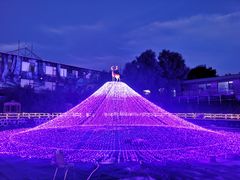 -北京鹿世界主题园