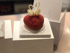 -BLACKSWAN黑天鹅(环球店)