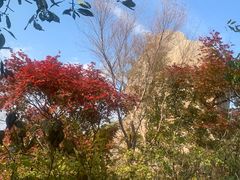 -三块石国家森林公园