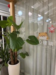 -七色田儿童摄影(静安店)