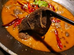 -马头巷·食景园(苏州总店)