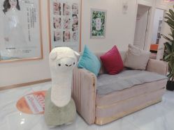 -郡艺医疗美容·微整·眼鼻吸脂