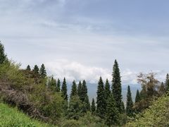 -新疆那拉提国家旅游度假区