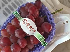 -马陆小张葡萄园农家乐