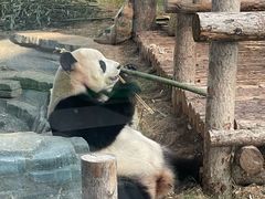 -大连森林动物园