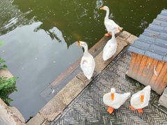 -苏州碑刻博物馆