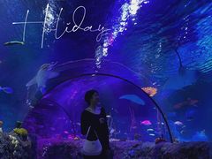 -沈阳海洋探索中心