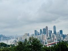 -铁山坪森林公园